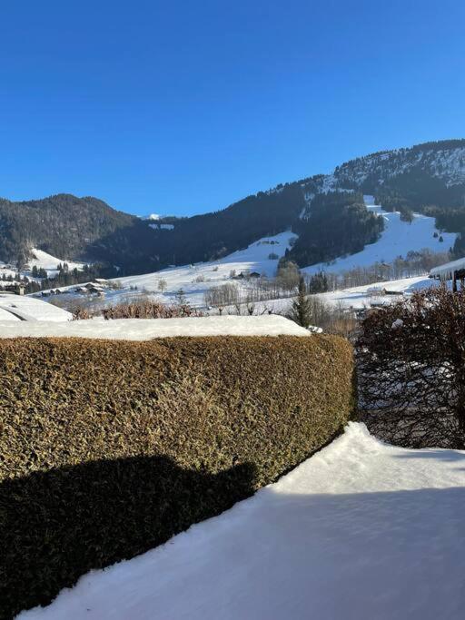 Charmant Studio + Jardin Vue Pistes Et Local Velo Praz-sur-Arly Ngoại thất bức ảnh