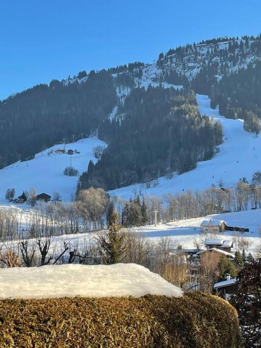 Charmant Studio + Jardin Vue Pistes Et Local Velo Praz-sur-Arly Ngoại thất bức ảnh